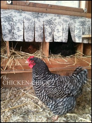 Chicken Laying Nest for your Hens