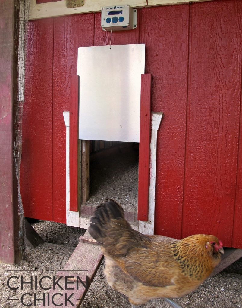 Automatic Chicken Door: Gail Damerow Reviews the ChickenGuard