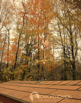 My copper weathervane was a gift from my husband for our seventh wedding anniversary. Did you know seven is the copper anniversary? True story.