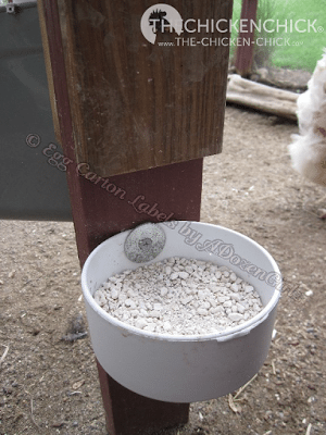 automatic chicken feeder pvc