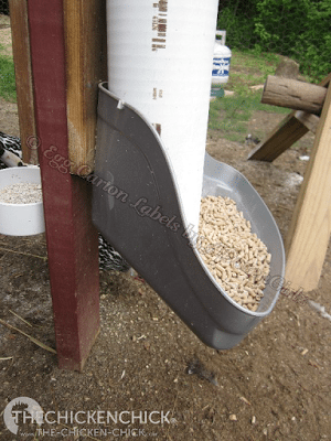 diy chicken feeder with pallets