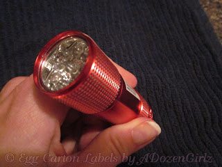 https://the-chicken-chick.com/wp-content/uploads/2011/05/5-30-11-LED-flashlight-28329.jpg