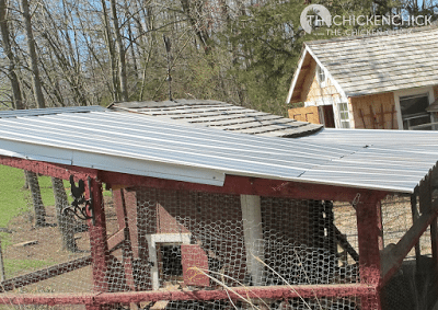 We replaced the damaged roof and put some of the fallen limbs to good use in the run this spring. The plastic, corrugated roofing was replaced with metal. 