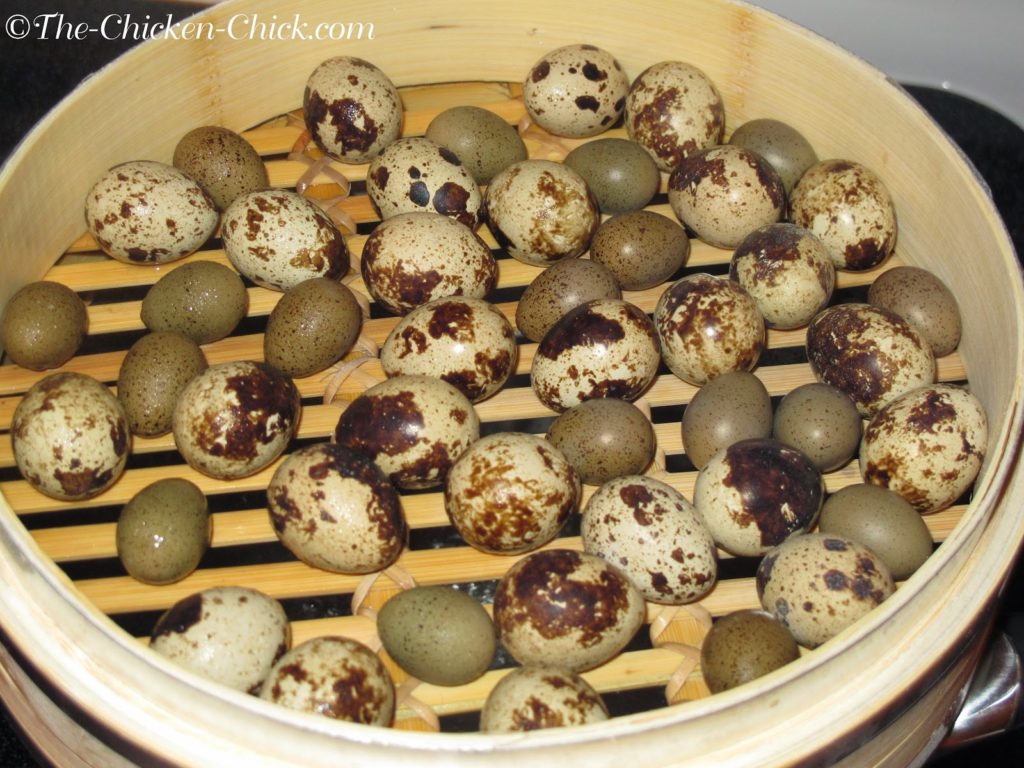 Coturnix quail eggs take only 6 minutes to steam to hard-cooked stage.