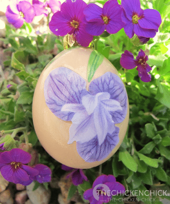 Blown and decorated egg