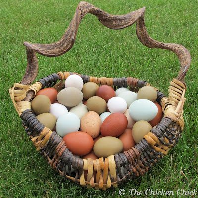 How to blow out egg shells by a variety of methods
