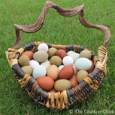 https://the-chicken-chick.com/wp-content/uploads/2011/10/Eggs-in-Basket-Red-door-6-9-12-eggs-in-basket-33.jpg