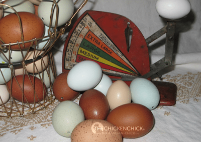 EGG BLOWING 101  Egg Decorating instructions