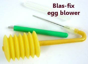 Blowing Out Egg Pump, Cleaning Egg Blower, Draining Egg Tool 