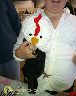 The sales of chicken hats was brisk, although this was not quite the intended customer. That beautiful, little bantam Polish hen was a most patient pet.