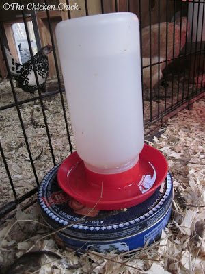 It doesn't seem as though a humble, 40 watt lightbulb should be able to produce enough warmth to keep the water in a plastic waterer from icing over, but remarkably, it does!