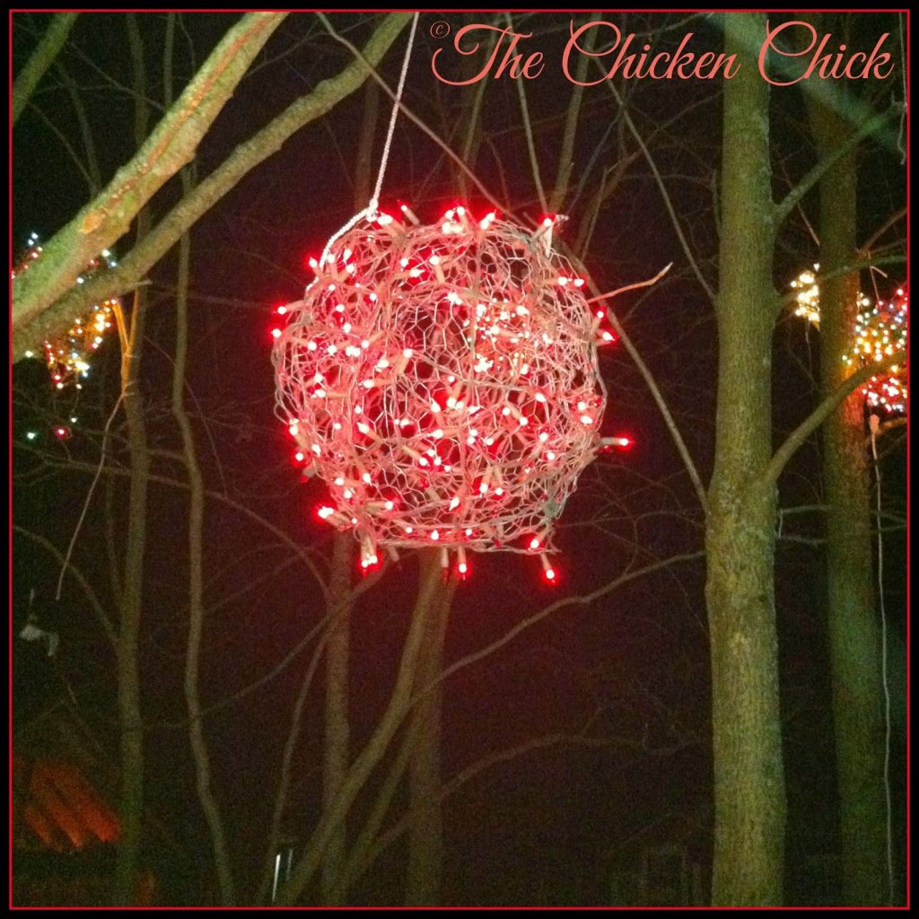 Chicken Wire, Lighted Christmas Balls... Tis the Season!