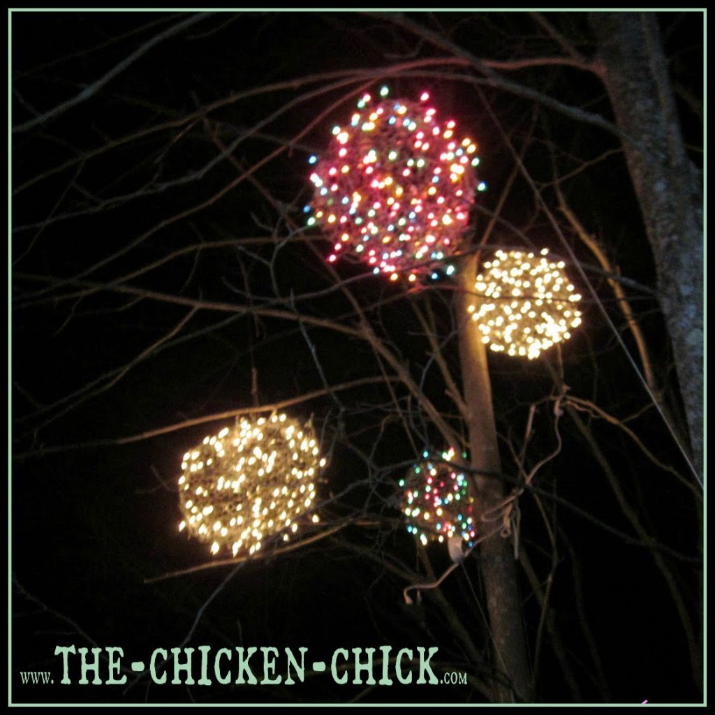 Chicken wire outlet christmas lights