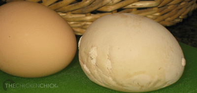 Flat egg.