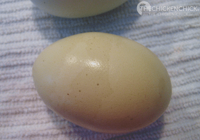 This camouflage egg was laid in the heat of the summer by my Easter Egger, Esther, who generally lays an khaki colored egg.
