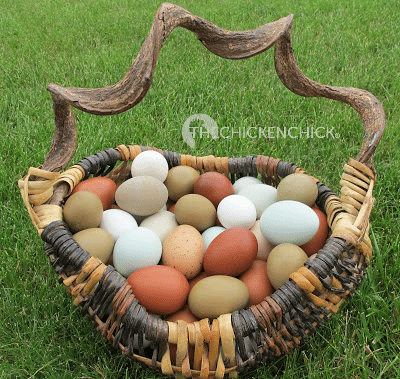 Basket of colored eggs