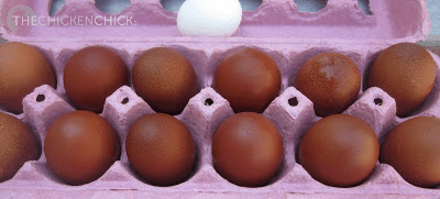 Brown eggshells contain the pigment protoporphyrin, ( a by-product of hemoglobin) which is found only on the surface of the shell. Brown pigment is applied during the formation of the last layer of the egg, the bloom or cuticle. The brown pigment can be rubbed off easily and does not color the inside of the shell.