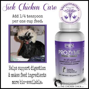 ProZyme- digestive & nutritional support for ill chickens not eating normally