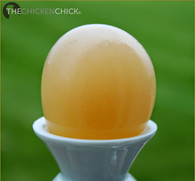 These soft-shelled eggs feel like water balloons. 