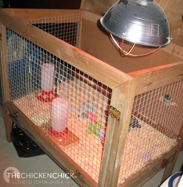 Heat lamps outlet for rabbit cages