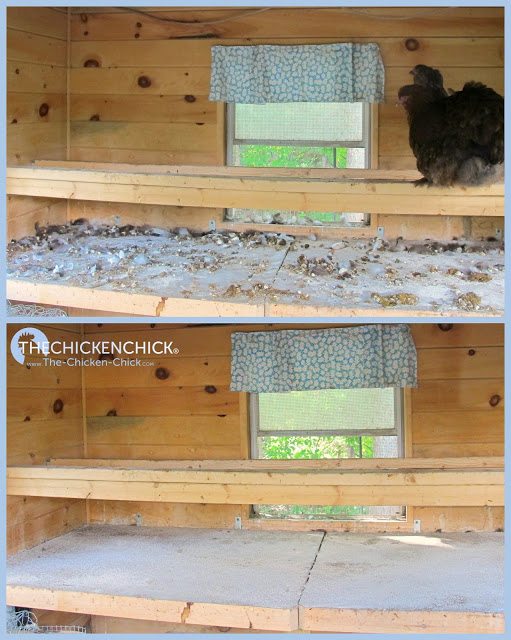 Removing droppings from the coop keeps it drier, reducing the risk of frostbite, the risk of bumblefoot infections, and makes the air healthier for them to breathe.