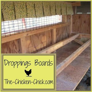 Droppings boards are essentially a shelf designed to collect chicken poop deposited overnight. Most chicken-keepers scrape off the droppings boards (DBs) each morning. I use a 12" taping knife and a big bucket, which makes quick work of the task. Then it goes directly to the compost pile.
