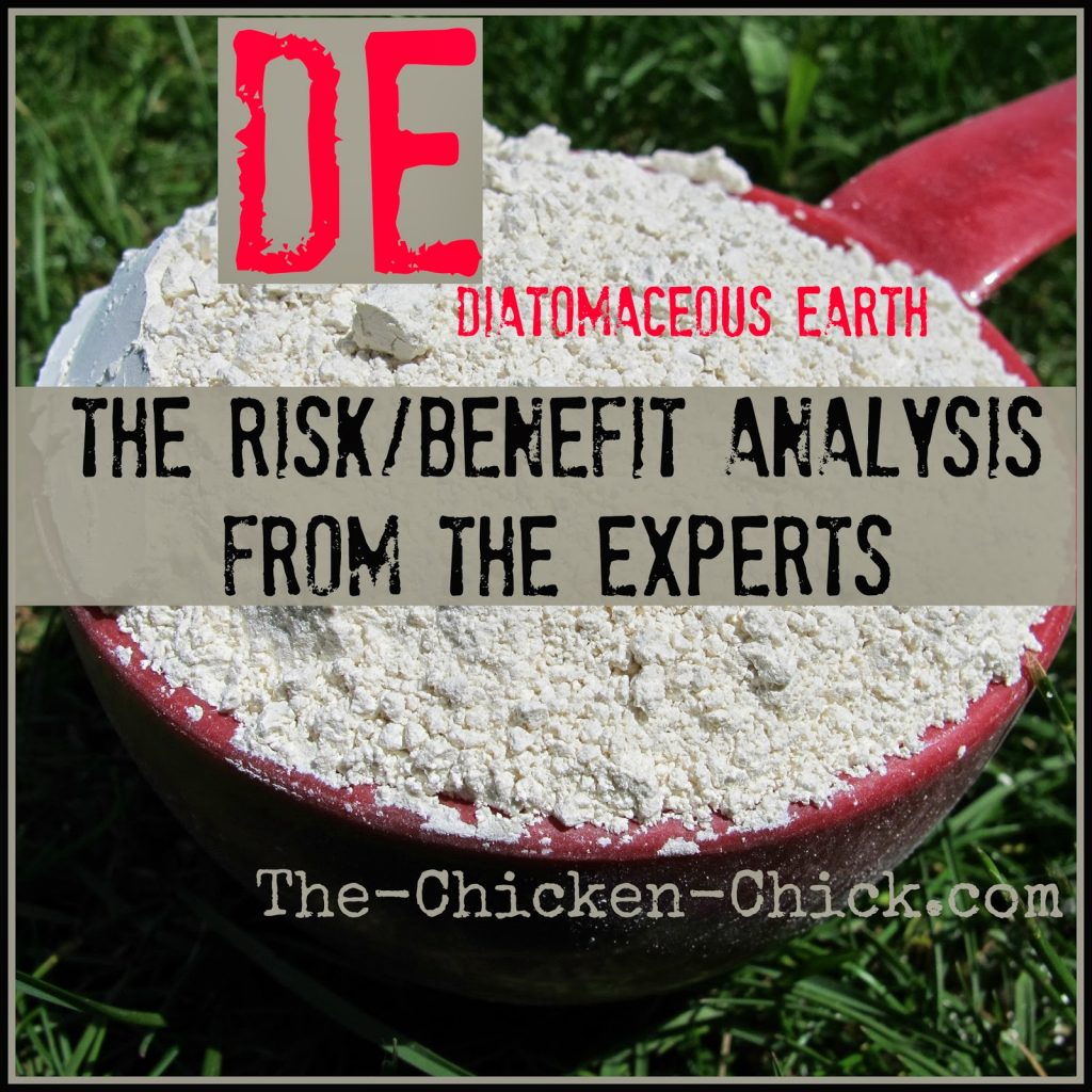 Diatomaceous Earth De Benefit Risk Analysis From The Experts