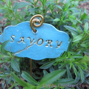 Diy Garden Markers Using Polymer Clay The Chicken Chick