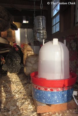 Chicken Nipple Waterer Diy Instructions Clean Water Is Always A