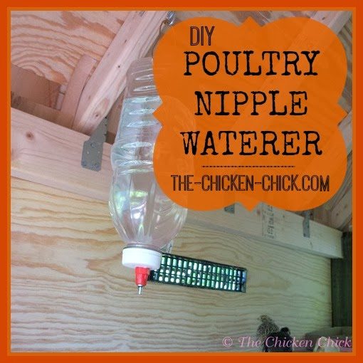 Homemade Easy & Simple PLASTIC Water Feeder Tank \\ Automatic Chicken Drink  Water