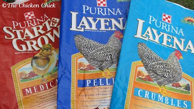 How to Avoid Chicken Feed Storage Mistakes - Backyard Poultry