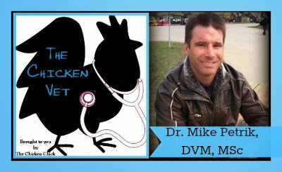 I asked Dr Mike Petrik, DVM, MSc, aka: the Chicken Vet, for his expert opinion about the use of ACV in poultry water based on his education, research and experience