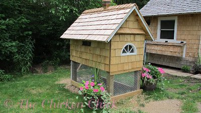 homemade quail cages