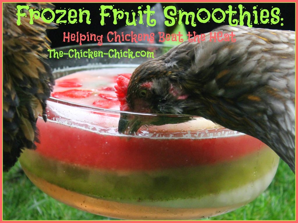 frozen fruit smoothies & pullet punch