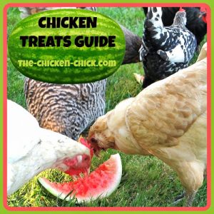 Chicken Treats Guide Don't love your pets to death