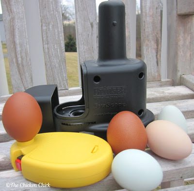 Egg Candling | Brinsea Ovascope (black) and high-intensity candler (yellow) The Ovascope sits on top of the candler.
