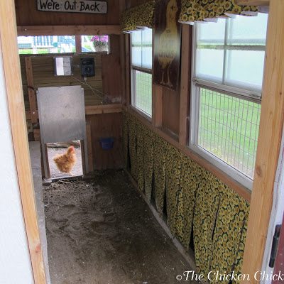 Sand for chicken coop bedding works brilliantly, keeping chickens healthier