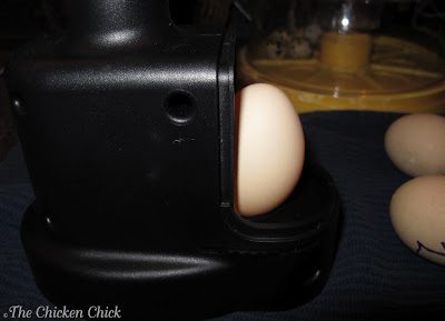 Egg Candling | This is the Brinsea Ovascope with the candling light off.