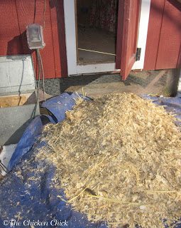 Pine shavings were a much more expensive, much less efficient chicken coop litter choice than sand