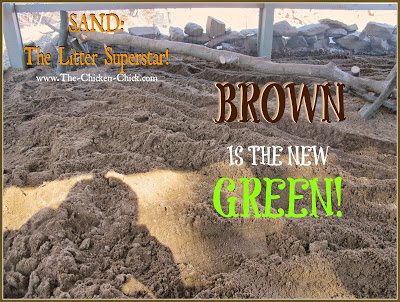  Sand is an eco-friendly chicken coop litter choice; sand can be removed from the coop, washed, dried and reused