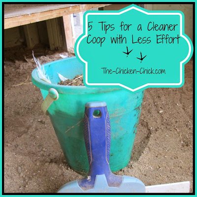 It’s that time of year when I do a major coop cleaning and this year, it's an easier task than ever before due to a few simple modifications that were made in our coops.