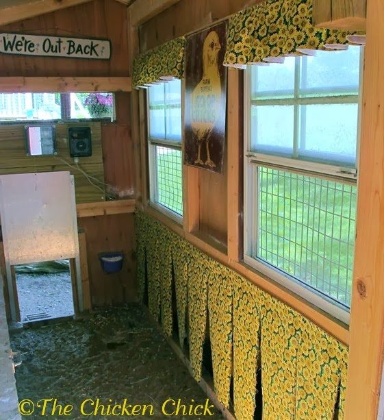 Hang nest box curtains for laying privacy to increase privacy, reduce stress and hide eggs from snack-seekers.
