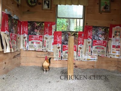 Staple empty feed bags onto the walls behind the roosts. It's much easier to replace soiled feed bags than it is to scrape chicken poop off the walls!