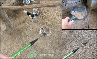 Chicken coop and run sand scoopers