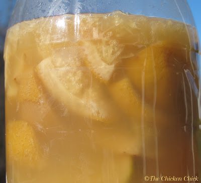 At the end of 3 months, strain the liquid into a clean container, composting the citrus rinds.
