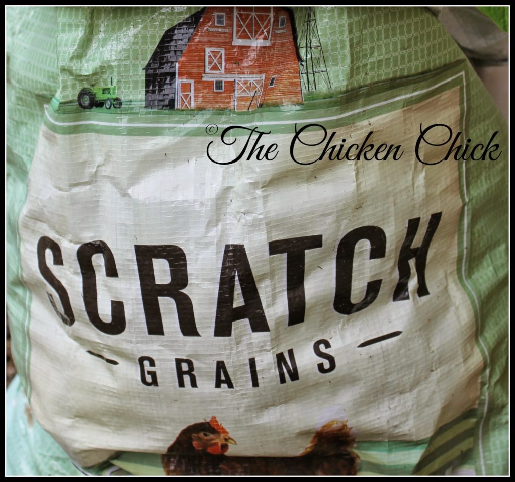 Chicken scratch is NOT chicken feed. The contents of scratch varies by country and region, but it consists primarily of cracked corn and any number of other grains. It's a source of energy (think: carbs) but is not a good source of vitamins, minerals or protein.