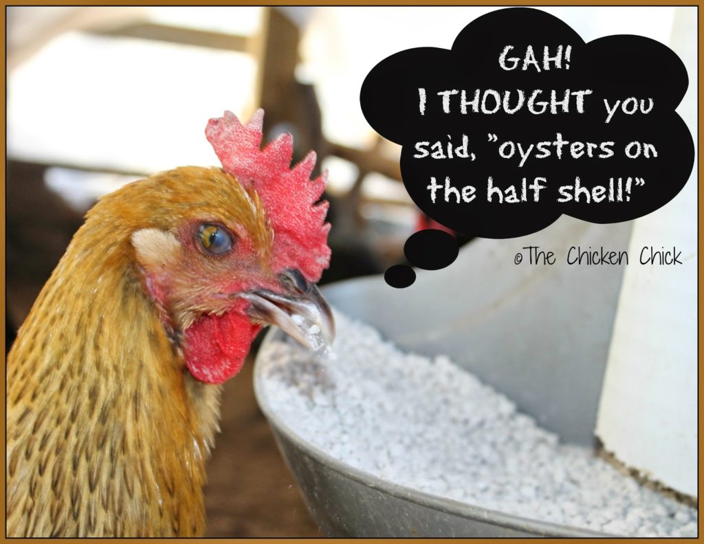 Hens deprived of adequate amounts of calcium will utilize the calcium stored within their own bones to produce eggshells, which is unhealthy for them.