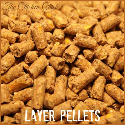 Layer pellets for laying hens