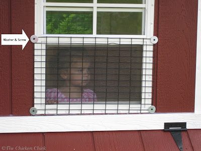 Chicken Wire vs. Hardware Cloth for a DIY Chicken Coop