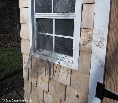 How to bury hardware cloth for chicken coop 